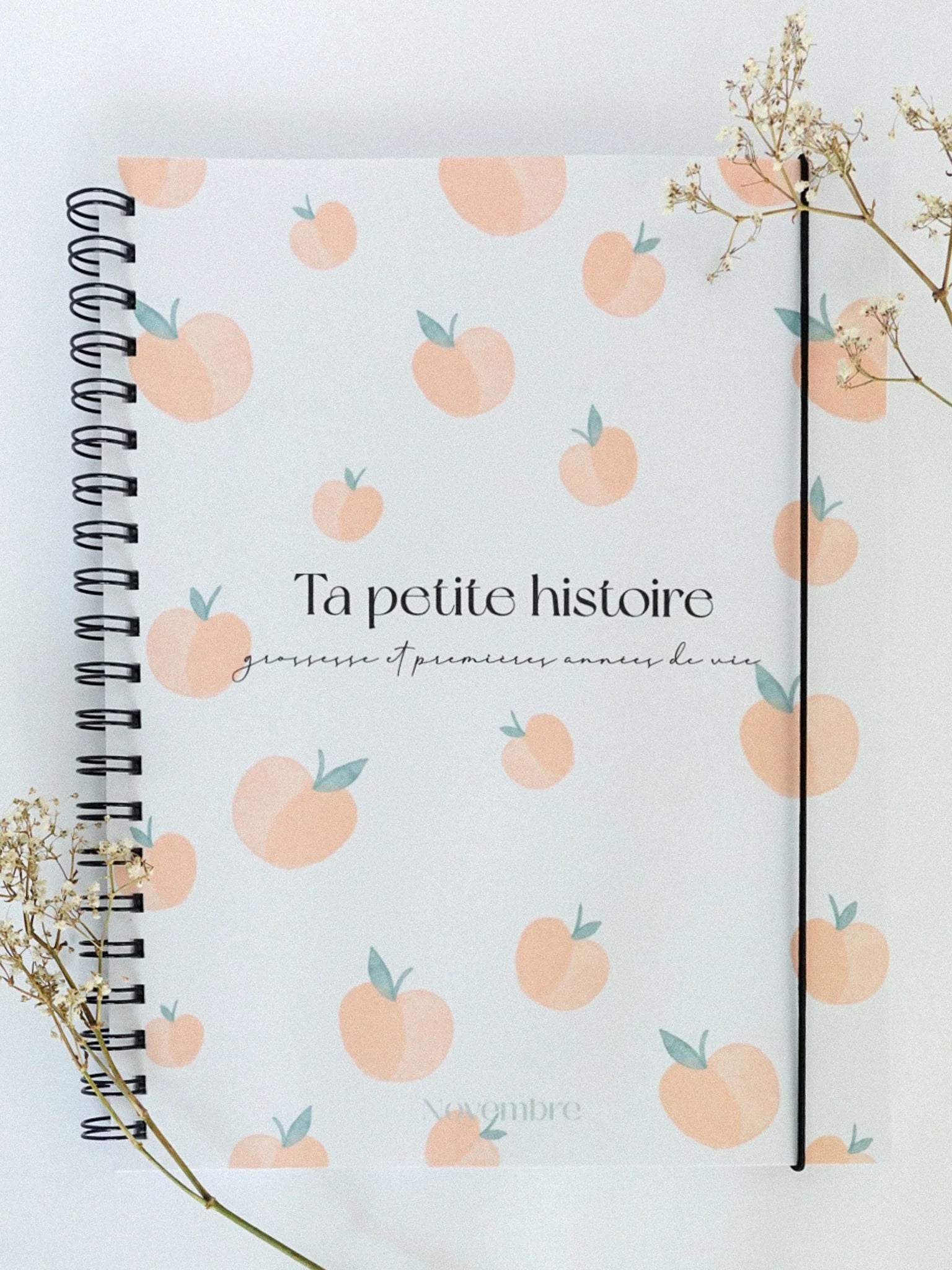 Livres de grossesse et de bébé (Ta petite histoire)