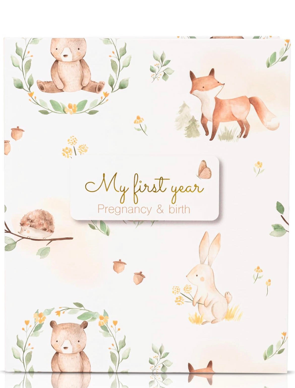 Baby First year memory book