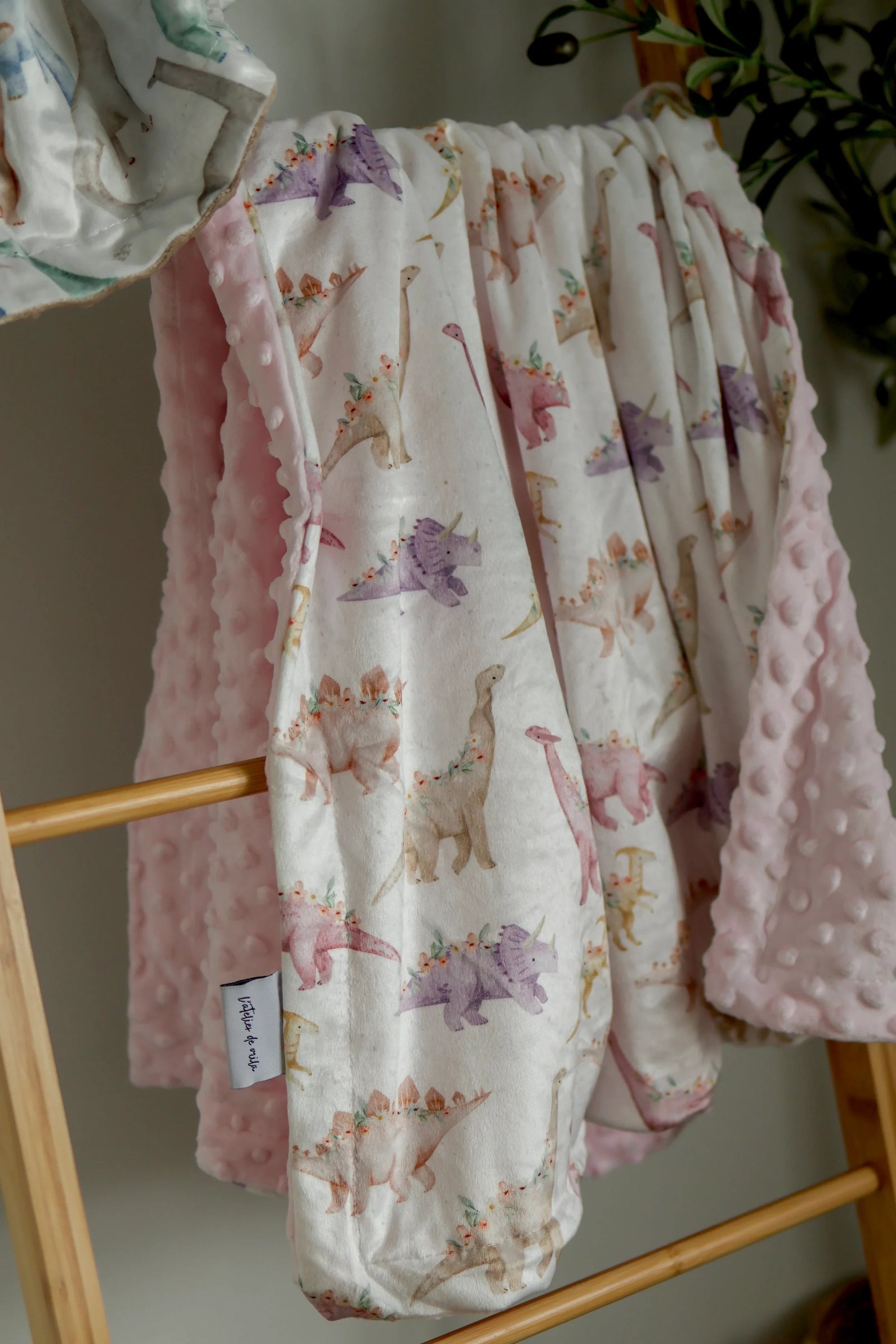 Minky Blanket