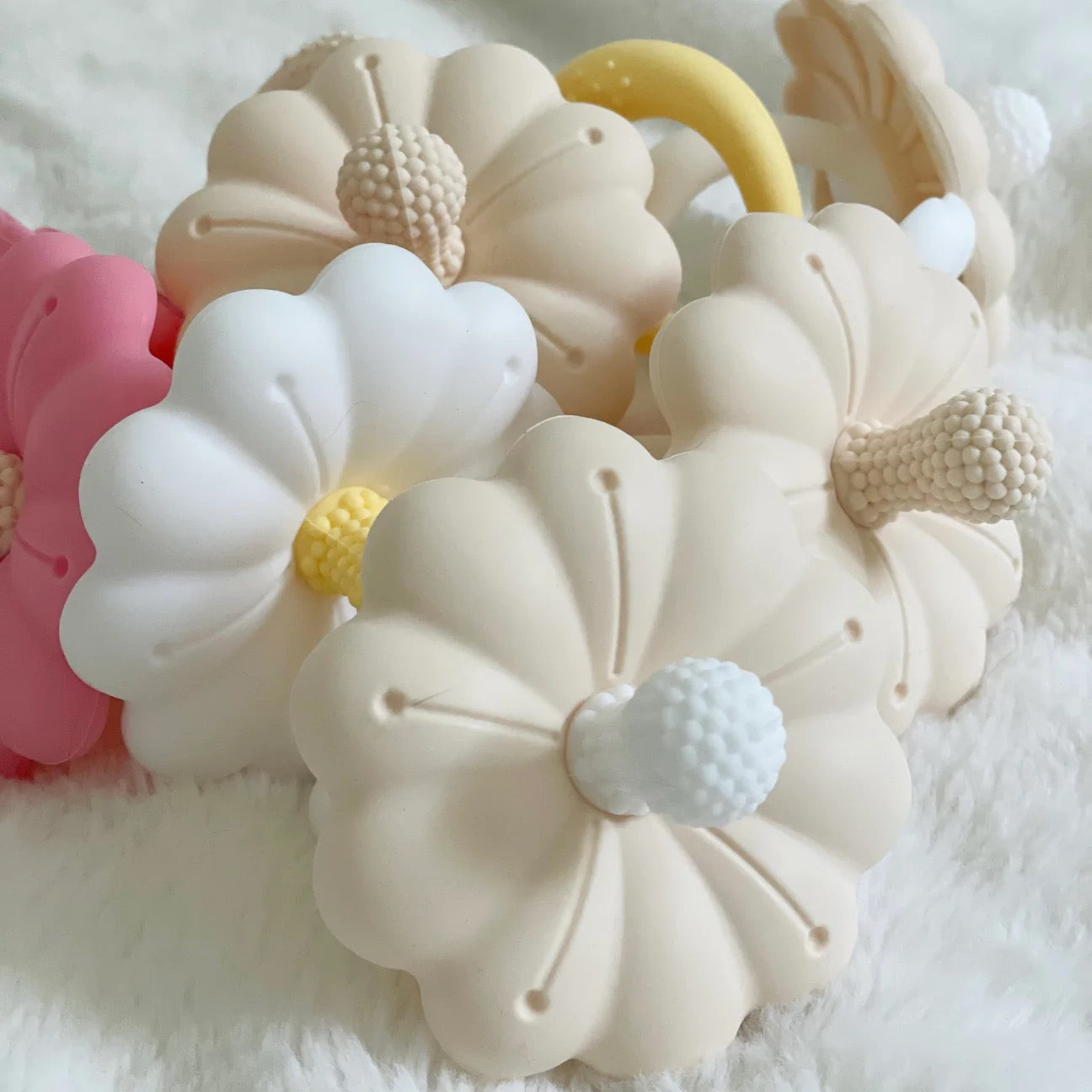 Fleur de dentition