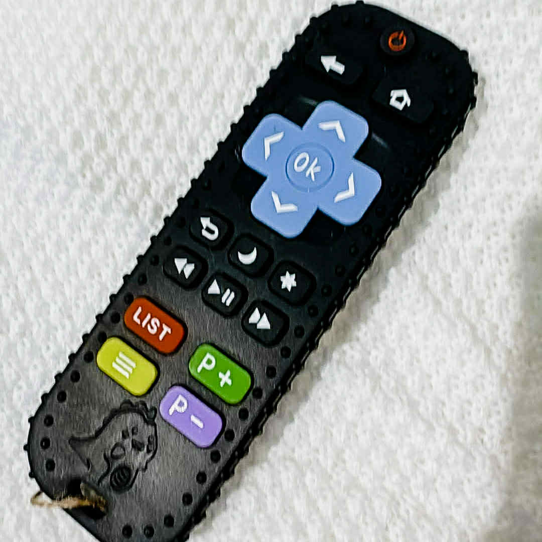 Teething Toy - Controller